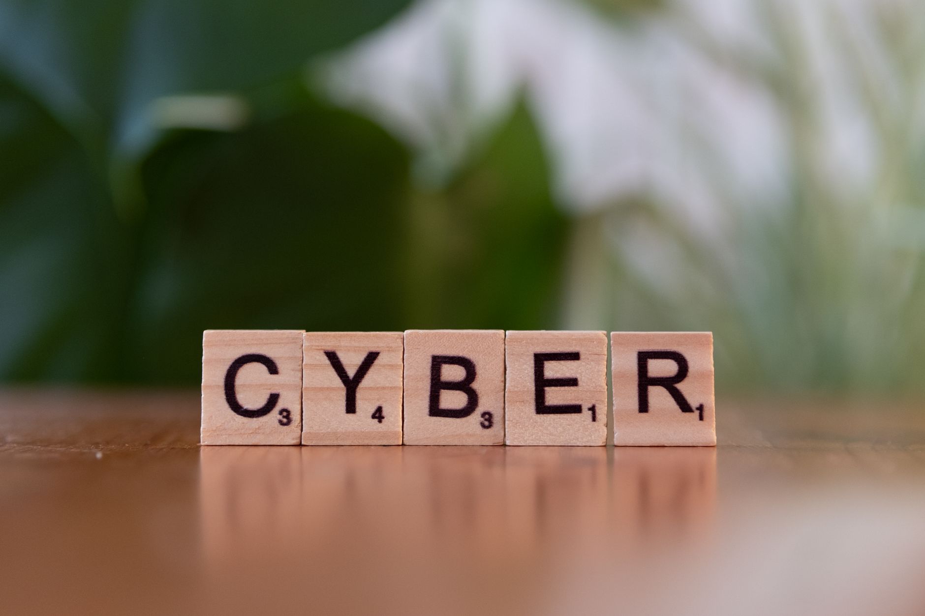 Online cybersecurity education