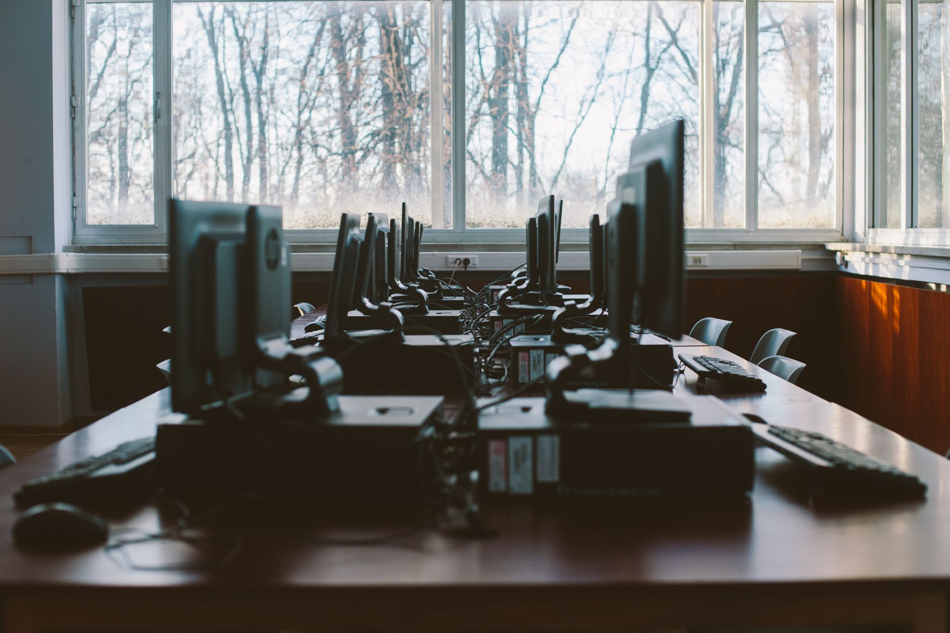 Cybersecurity career and programming